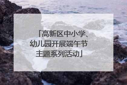 高新区中小学、幼儿园开展端午节主题系列活动