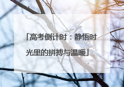 高考倒计时：静悟时光里的拼搏与温暖