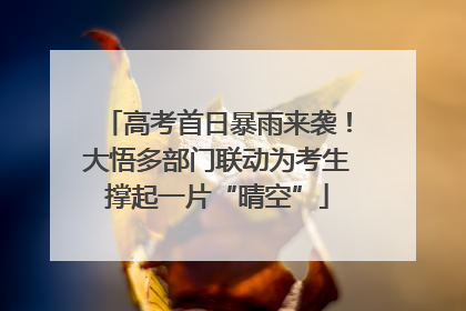 高考首日暴雨来袭！大悟多部门联动为考生撑起一片“晴空”