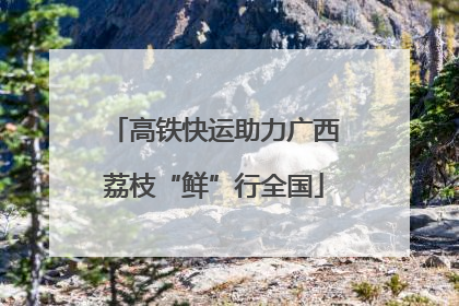 高铁快运助力广西荔枝“鲜”行全国
