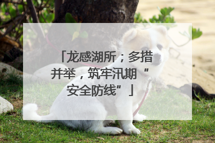 龙感湖所；多措并举，筑牢汛期“安全防线”