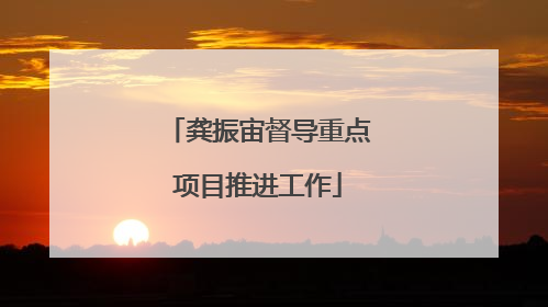 龚振宙督导重点项目推进工作