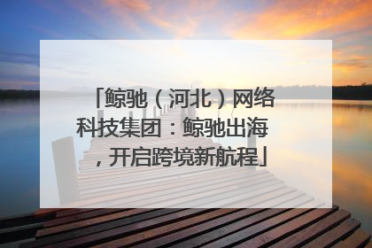 鲸驰（河北）网络科技集团：鲸驰出海，开启跨境新航程