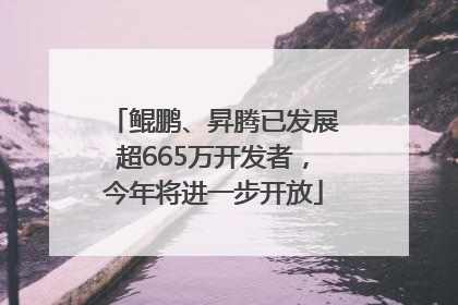 鲲鹏、昇腾已发展超665万开发者，今年将进一步开放