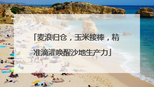 麦浪归仓，玉米接棒，精准滴灌唤醒沙地生产力