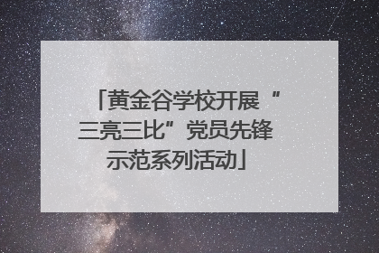 黄金谷学校开展“三亮三比”党员先锋示范系列活动