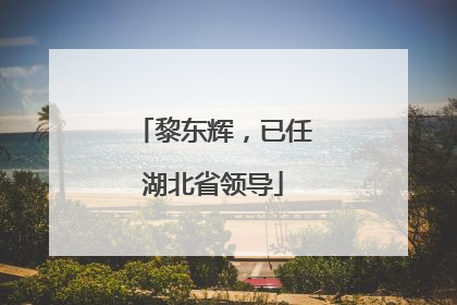黎东辉，已任湖北省领导