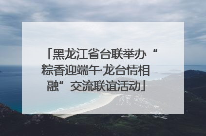 黑龙江省台联举办“粽香迎端午·龙台情相融”交流联谊活动
