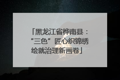 黑龙江省桦南县：“三色”匠心织锦绣 绘就治理新画卷