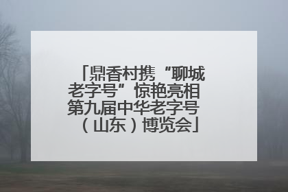 鼎香村携“聊城老字号”惊艳亮相第九届中华老字号（山东）博览会