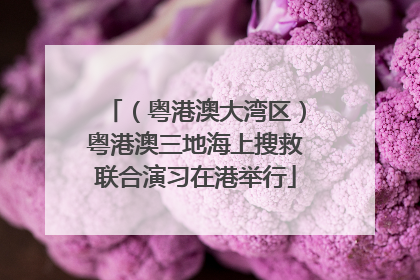 （粤港澳大湾区）粤港澳三地海上搜救联合演习在港举行