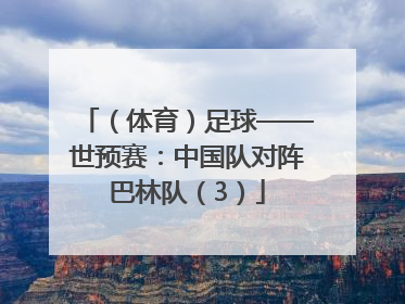 （体育）足球——世预赛：中国队对阵巴林队（3）