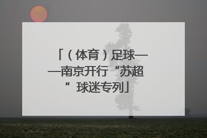 （体育）足球——南京开行“苏超”球迷专列
