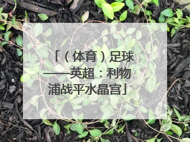 （体育）足球——英超：利物浦战平水晶宫