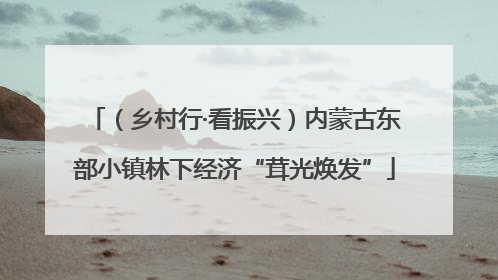 （乡村行·看振兴）内蒙古东部小镇林下经济“茸光焕发”