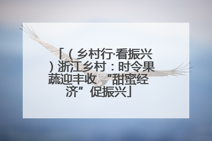 （乡村行·看振兴）浙江乡村：时令果蔬迎丰收 “甜蜜经济”促振兴