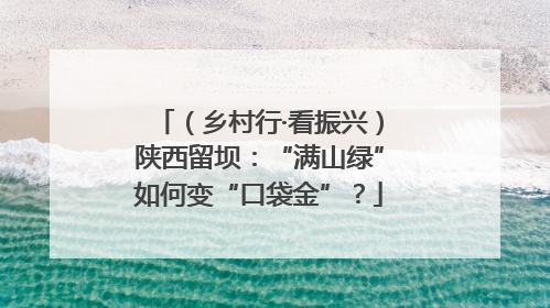 （乡村行·看振兴）陕西留坝：“满山绿”如何变“口袋金”？