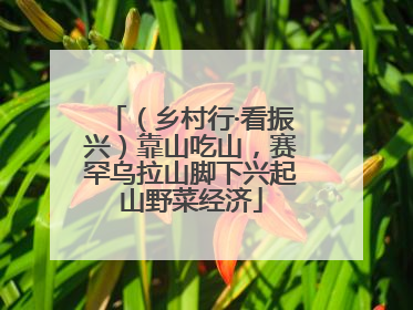 （乡村行·看振兴）靠山吃山，赛罕乌拉山脚下兴起山野菜经济