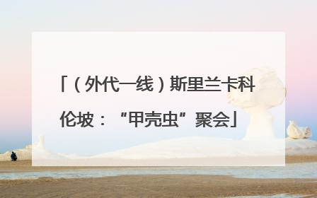 （外代一线）斯里兰卡科伦坡：“甲壳虫”聚会