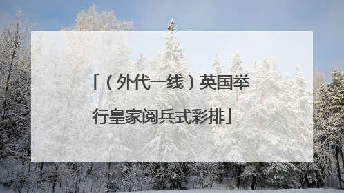 （外代一线）英国举行皇家阅兵式彩排