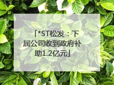 *ST松发：下属公司收到政府补助1.2亿元