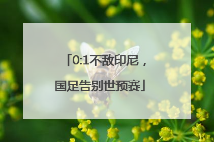 0:1不敌印尼，国足告别世预赛