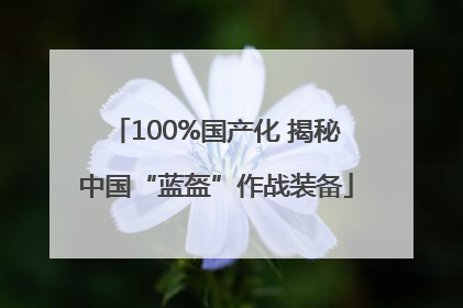 100%国产化 揭秘中国“蓝盔”作战装备