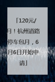 120元/月！杭州道路停车包月，6月6日开始申请
