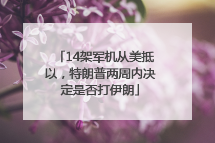 14架军机从美抵以，特朗普两周内决定是否打伊朗