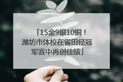 15金9银10铜！潍坊市体校在省田径冠军赛中再创佳绩