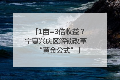 1亩=3倍收益？宁夏兴庆区解锁改革“黄金公式”