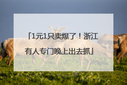 1元1只卖爆了！浙江有人专门晚上出去抓