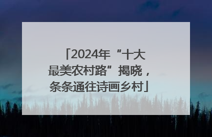 2024年“十大最美农村路”揭晓，条条通往诗画乡村