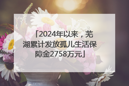 2024年以来，芜湖累计发放孤儿生活保障金2758万元