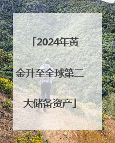 2024年黄金升至全球第二大储备资产