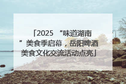 2025 “味道湖南”美食季启幕，岳阳啤酒美食文化交流活动点亮