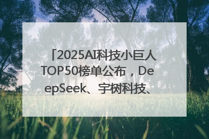 2025AI科技小巨人TOP50榜单公布，DeepSeek、宇树科技、蘑菇车联等企业荣誉上榜