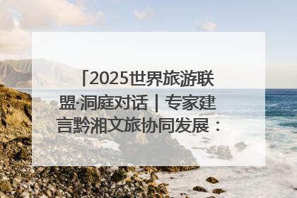 2025世界旅游联盟·洞庭对话｜专家建言黔湘文旅协同发展：聚焦产品稀缺性 深化区域经验共享