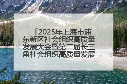 2025年上海市浦东新区社会组织高质量发展大会暨第二届长三角社会组织高质量发展峰会成功举办