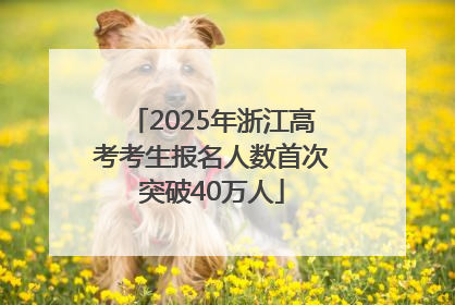 2025年浙江高考考生报名人数首次突破40万人