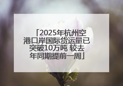 2025年杭州空港口岸国际货运量已突破10万吨 较去年同期提前一周