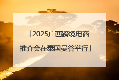 2025广西跨境电商推介会在泰国曼谷举行
