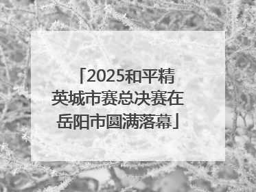 2025和平精英城市赛总决赛在岳阳市圆满落幕