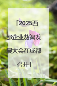 2025西部企业数智发展大会在成都召开