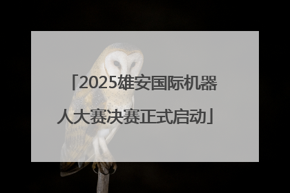 2025雄安国际机器人大赛决赛正式启动
