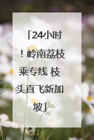 24小时！岭南荔枝乘专线 枝头直飞新加坡