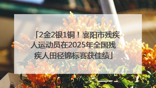 2金2银1铜！襄阳市残疾人运动员在2025年全国残疾人田径锦标赛获佳绩