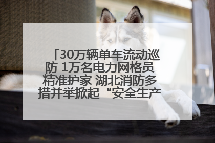 30万辆单车流动巡防 1万名电力网格员精准护家 湖北消防多措并举掀起“安全生产月”宣传热潮