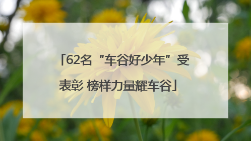 62名“车谷好少年”受表彰 榜样力量耀车谷