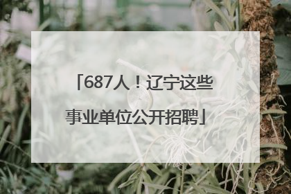 687人！辽宁这些事业单位公开招聘